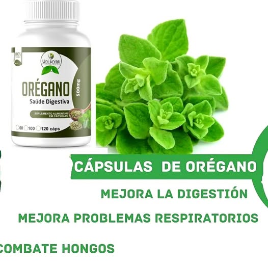Aceite De Oregano